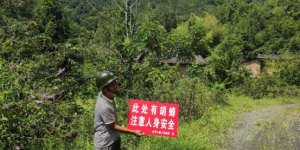 汉阴县双河口镇：多举措筑牢胡蜂防治安全屏障