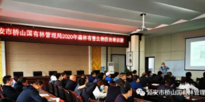 延安市桥山国有林管理局：强化森林有害生物防治培训，助推林业高质量发展