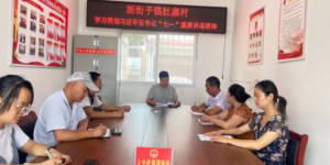 勉县新街子镇召开学习贯彻习近平总书记“七一”重要讲话精神宣讲会