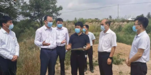 咸阳市人大常委会副主任任杰到相公镇调研乡村振兴工作