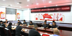 紫阳法院：迅速传达学习县委十五届十一次全会精神