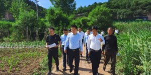 黄龙县瓦子街镇：乡村建设，行动起来