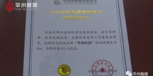 “华州皮影”地理标志品牌价值达1.31亿元