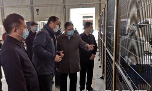 陕西省商务厅建立“三个一”帮扶机制 助力企业复工复产