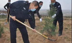 栽下一棵树 收获万点绿 乾县公安局组织民警赴乾陵开展植树造林活动