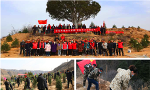 延安：疫情防控不松懈  植树造林绿家园