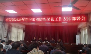 宝塔区李渠镇：干群携手，共同奋力抗“冻”保果花