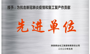陕钢集团荣获多项集体和个人荣誉