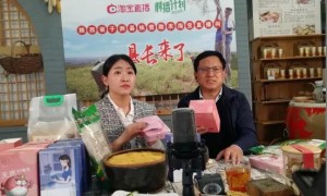 县长“直播带货”，子洲特色农产品火了