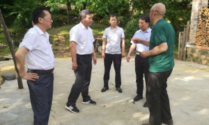 丹凤县峦庄镇：强化使命担当，决胜脱贫攻坚