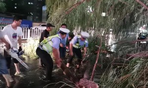 米脂交警，让荧光绿成为最温情的城市路标