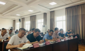 汉中市汉台区宗营镇：从百年党史中汲取建设新宗营的奋进力量