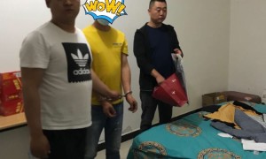 洛川县公安局:成功破获系列盗窃案