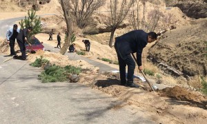 子长市李家岔镇：强化环境卫生整治，建设美丽富裕新农村