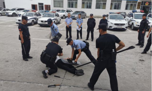 彬州公安：以练为战 以战促练 提升警务实战技能