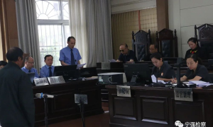 宁强人民检察院：惩治违法犯罪 呵护生态资源环境