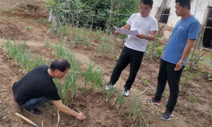 韩城市桑树坪镇：走访贫困户 巩固帮扶成效