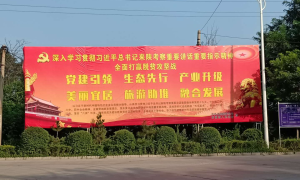 华阴市孟塬镇奋力谱写孟塬新时代追赶超越新篇章