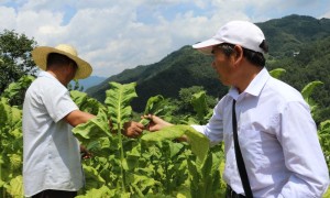 柞水县卫健局：贴近群众生产生活 提振士气奔小康