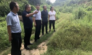 潼关县城关街道办：强化防汛应急准备，提升防灾减灾能力