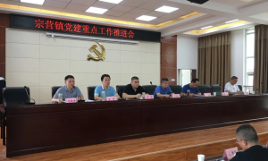 汉台区宗营镇：聚焦重点对标对表，强化党建工作落实