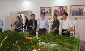 宝鸡市市委常委、副市长时镇调研凤县民政工作