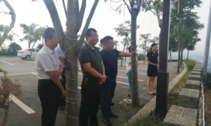 汉台区河东店镇：激发农业产业发展潜能，促进现代农业园区发展