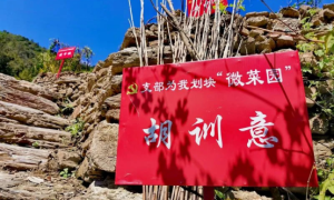 白河县：“菜园子工程”，让生活更有幸福感