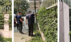 鄠邑区余下街道：党员表率带动群众  推进社区文明建设