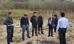 吴起县应急管理局：开展灾害救助和应急救灾物资保障工作专项检查