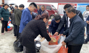 城固县医院：消费扶贫，助力群众增收致富