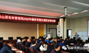 延安市桥山国有林管理局：强化森林有害生物防治培训，助推林业高质量发展