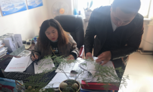 延川县应急管理局：强化安全生产督查  保障群众生命财产