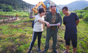 马场的沃野上耀眼的不止农产品还有她——记黄龙县圪台乡马场驻村第一书记薛文君
