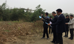 城固县自然资源局：强化专项治理督查  化解土地领域突出问题