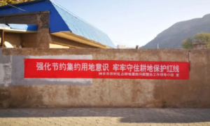 神木市迎宾路街道办：开展乱占耕地整治，保护粮食安全