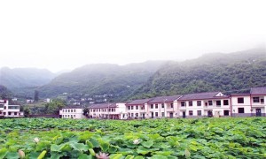 十万乡亲出深山——白河县易地搬迁中的故事