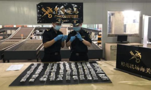 警惕！今年前10月海关截获植物有害生物近4000种