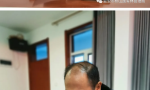 延安市桥山国有林管理局：强化全会精神学习  护航森林生态资源