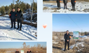 靖边县林业局：强化冬季隐患排查  筑牢森林安全防火墙