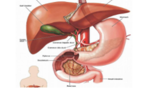 汉滨区第一医院：微创手术治疗肝脏、胆道疾病显功效