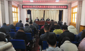丹凤县棣花镇：正风肃纪严整顿 常抓不懈强监督