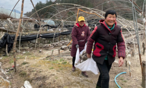 秦岭深处，这个县的村民“不好好过年”了