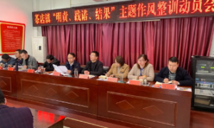 勉县茶店镇：强化作风整训，永葆初心开新篇