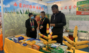 “农”抬头！杨凌双交会开幕！