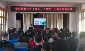丹凤县棣花镇召开新任村（社区）“两委”干部专题培训班