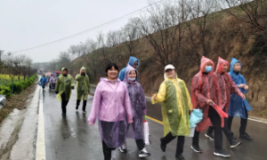 澄城县卫健局：享受绿色生活，激发奋进力量