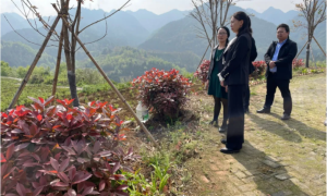 勉县元墩镇：发挥本地特色,做强产业优势