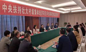 澄城县农业农村局：强化调研评估 壮大集体经济