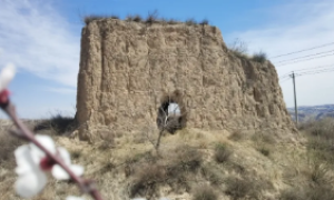 神木市永兴街道：多措并举做好长城保护